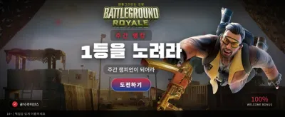 배틀그라운드 최후의 1인 도전